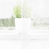 Vidaxx rideau en dentelle avec rideaux fleurs blanc 200 x 150 cm polyester