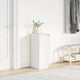 Vidaxx armoire à chaussures 29,5x34x76 cm bois d'ingénierie blanc