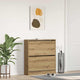 Vidaxx armoire à chaussures chêne fumé 80 x 21 x 87,5 cm bois traité