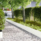 Vidaxl bordure de jardin 20 pcs blanc 100 x 0,05 x 20 cm acier laminé à froid
