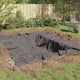 Vidaxl polaire d'étang gris 1 x 50 m polyester et coton