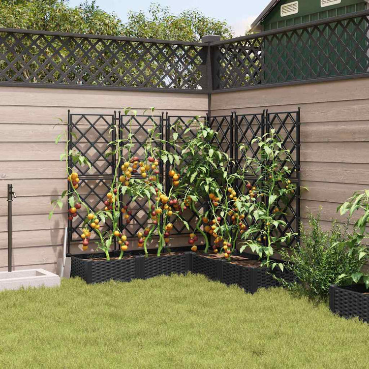 Vidaxxl pot de fleur de jardin 5 pcs noir 120 x 120 x 125,5 cm acier