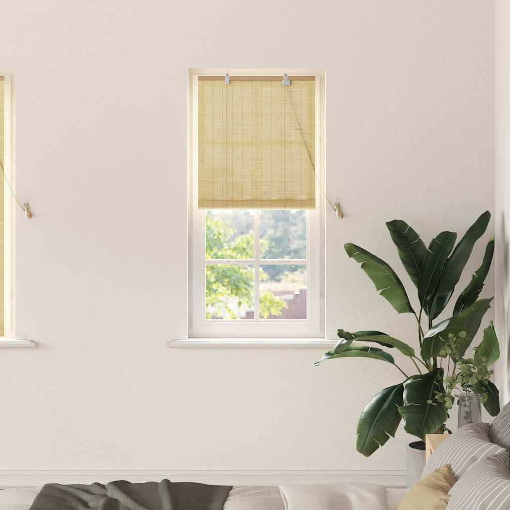 Vidaxxl store enrouleur avec rideaux bambou naturel 60 x 160 cm