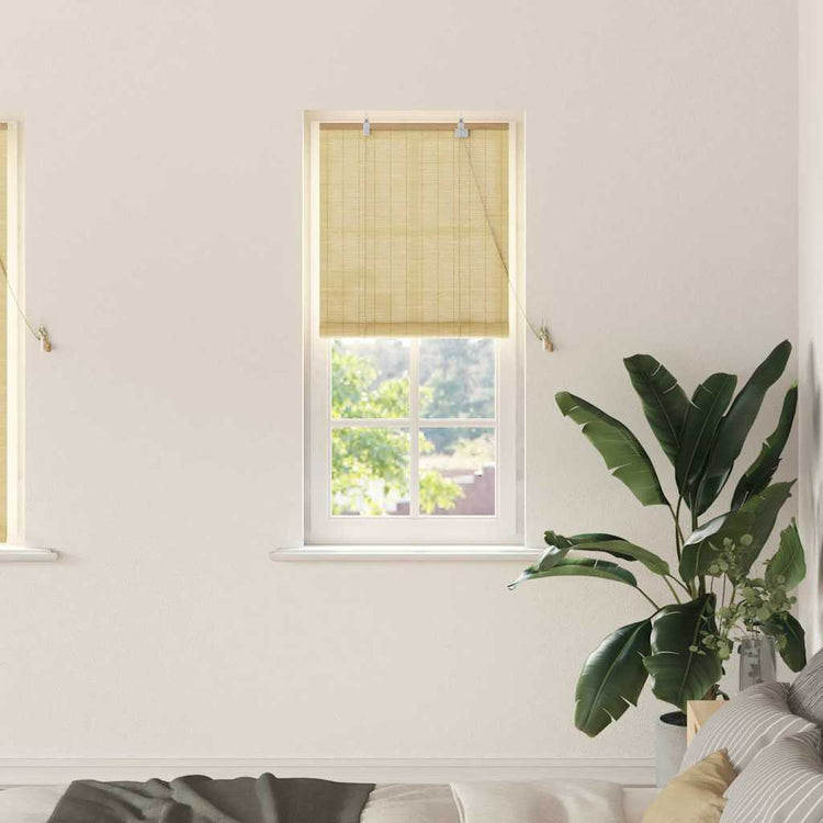 Vidaxxl store enrouleur avec rideaux bambou naturel 60 x 160 cm