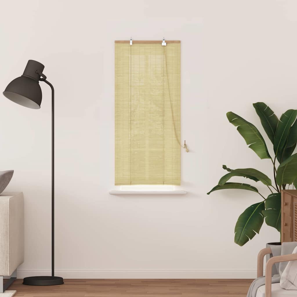 Vidaxxl store enrouleur avec rideaux bambou naturel 60 x 160 cm