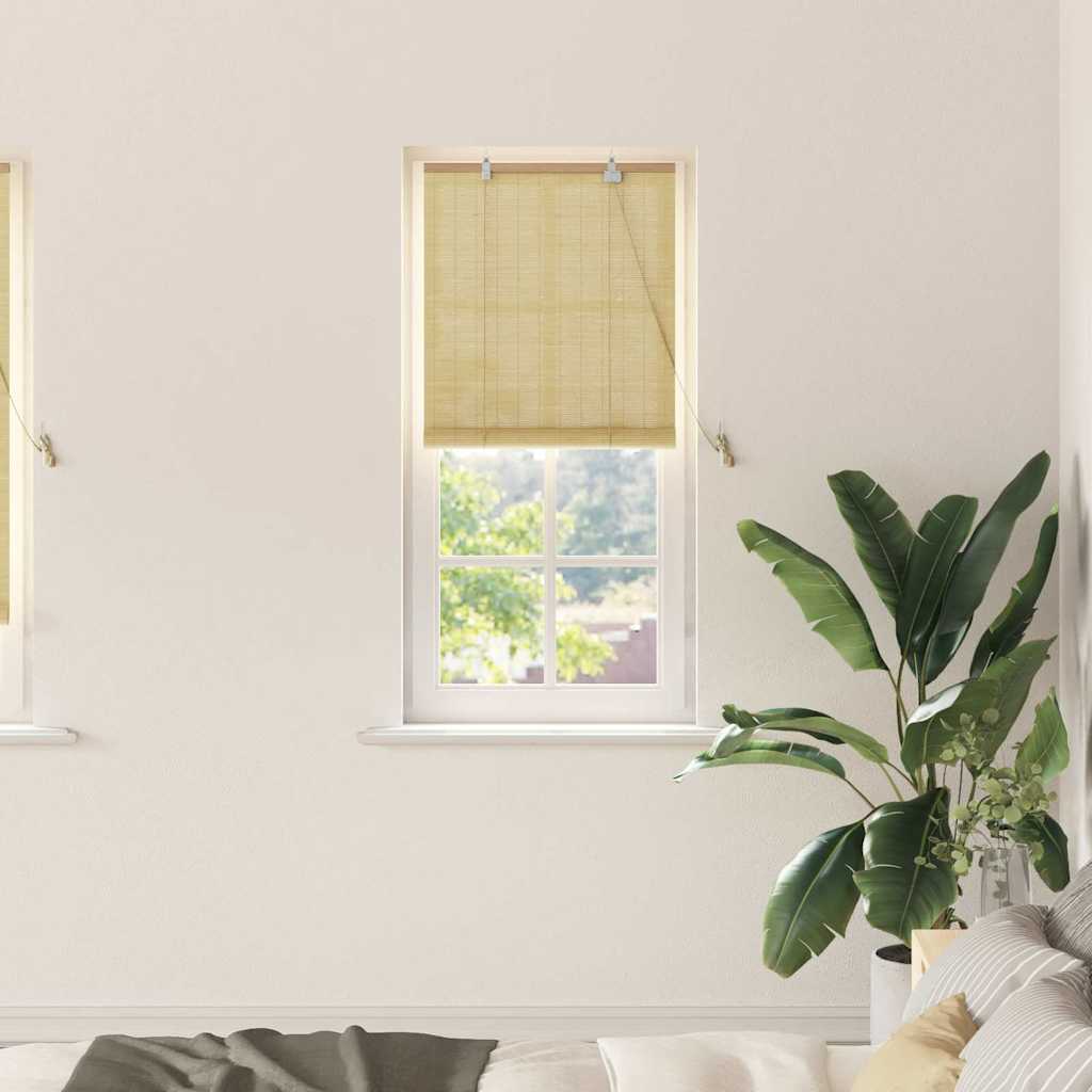 VidaXL store enrouleur avec rideaux bambou naturel 60 x 220 cm