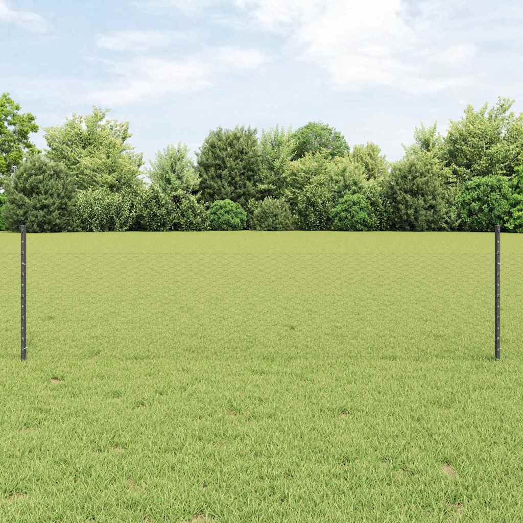Clôture Vidaxxl avec poteau gris 0,5 x 25 m en acier