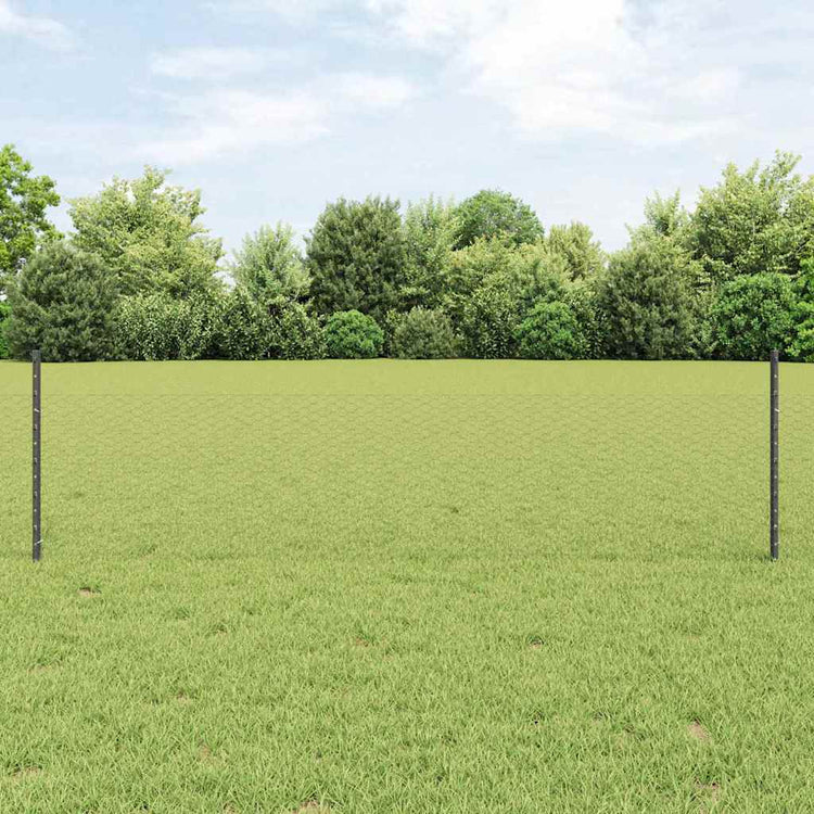 Clôture Vidaxxl avec poteau gris 0,5 x 25 m en acier
