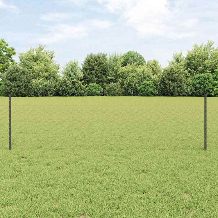 Clôture Vidaxxl avec poteau gris 0,5 x 25 m en acier