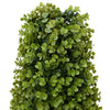 Vidaxx tour d'herbe d'eucalyptus vert 27 x 27 x 90 cm en plastique