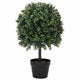 Vidaxl boule de buis vert 35 x 35 x 50 cm en plastique