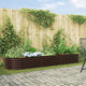 Vidaxx lit surélevé marron 320 x 80 x 44 cm acier