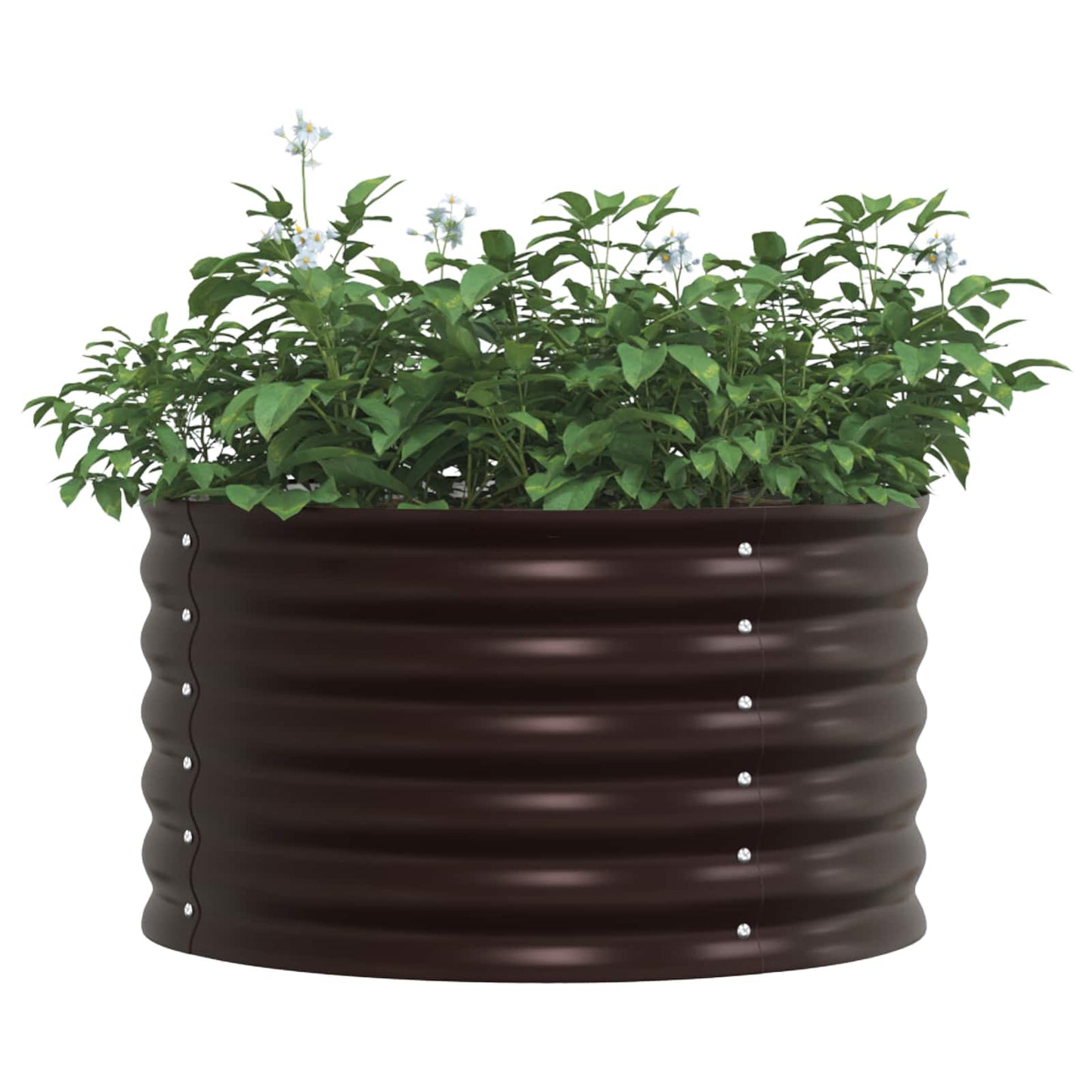 Vidaxx lit surélevé marron 80 x 80 x 44 cm acier