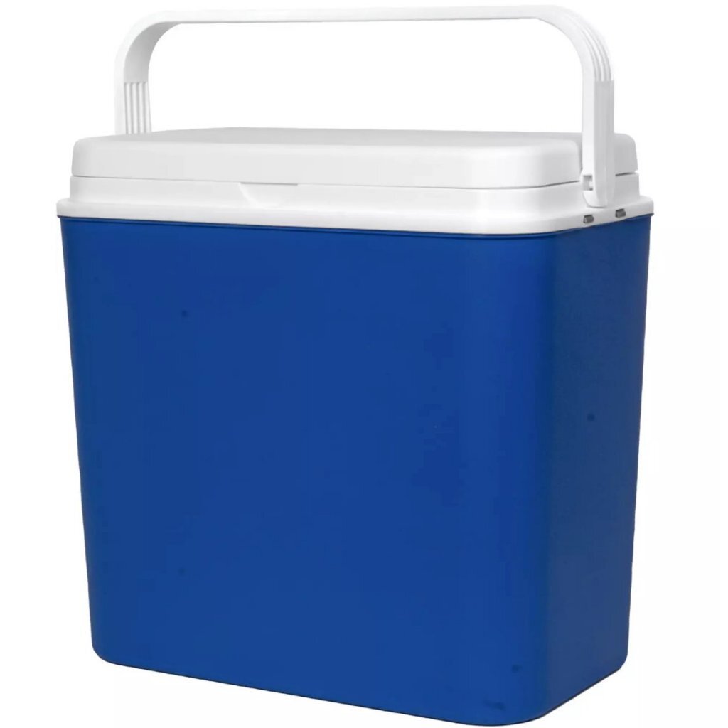 Benson glacière 24l bleu blanc