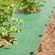 Vidaxx piquets de sol 100 pcs noir ø3 x 11 cm en plastique