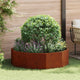 Vidaxx jardinière rouillé 120 x 120 x 35 cm acier corten