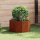 Vidaxl jardinière rouillé 60 x 60 x 35 cm acier corten