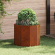 Vidaxl jardinière rouillé 60 x 60 x 50 cm acier corten