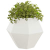 Vidaxx jardinière blanc 100 x 100 x 80 cm acier