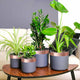 VidaXL ruban de cuivre 6 pcs cuivre 2000 x 5 cm cuivre
