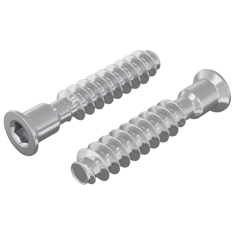 Vidaxx boulon à capuchon principal 2 pièces argent m7 x 40 mm acier