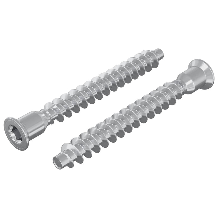 Vidaxx vis de montage 2 pcs argent ø7 x 58 mm métal