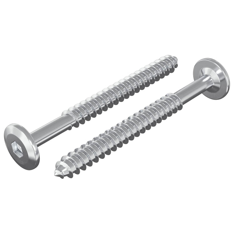 Vidaxxl vis à bois 2 pcs argent m6 x 70 mm acier