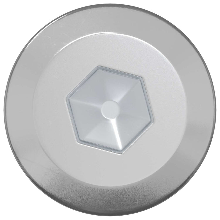 Vidaxxl vis à bois 2 pcs argent m6 x 70 mm acier