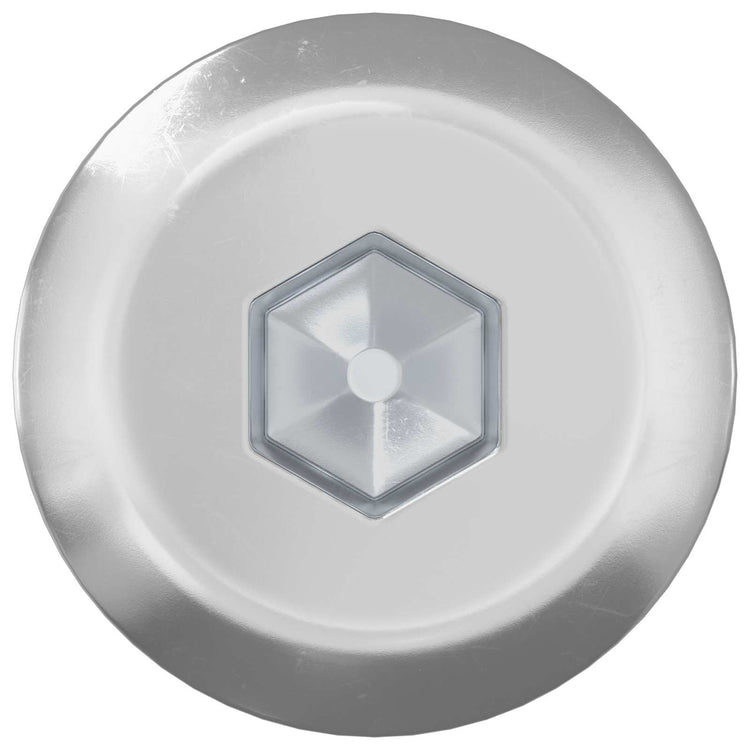 Vidaxxl vis pour meubles 12 pcs argent m6 x 120 mm acier