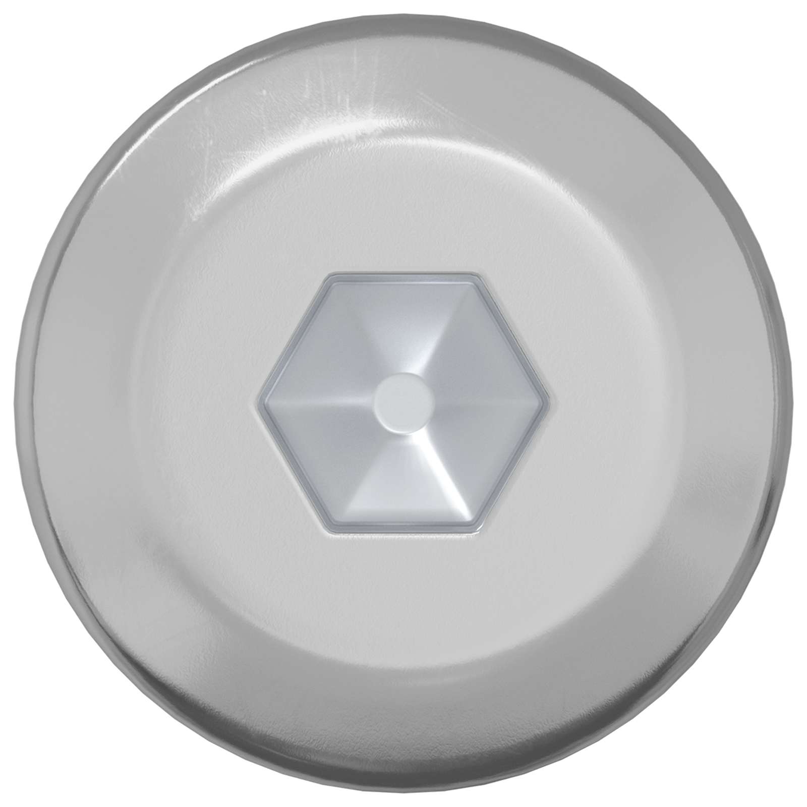 Vidaxxl boulon 2 pcs argent m6 x 120 mm acier