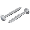 Vidaxl boulon 2 pcs argent 9,8 x 35 mm fer