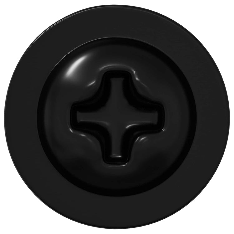 Vidaxl clou autotaraudeur 2 pcs fer noir 3,5 x 12 mm