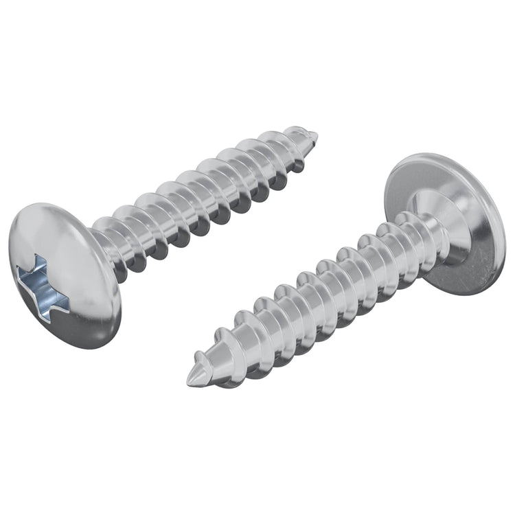 Vidaxl clou autotaraudeur 2 pcs acier galvanisé 4 x 20 mm