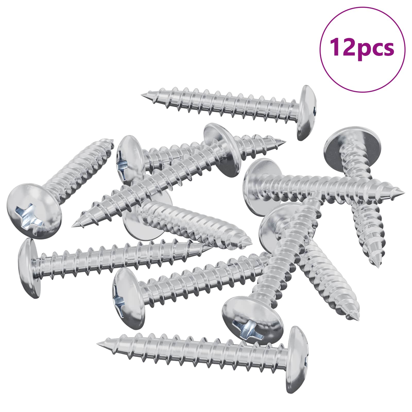 Vidaxl clou autotaraudeur 12 pcs acier galvanisé 4 x 25 mm