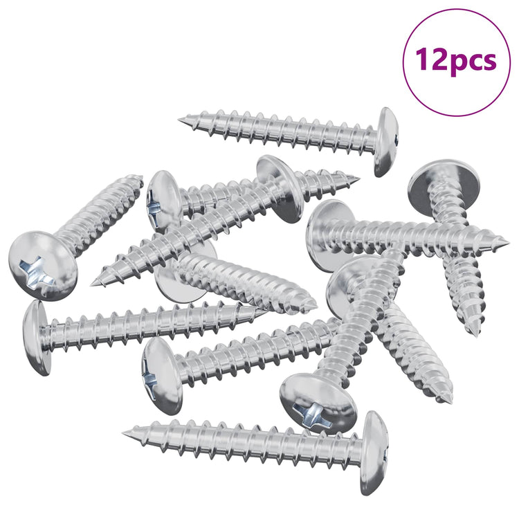 Vidaxl clou autotaraudeur 12 pcs acier galvanisé 4 x 25 mm