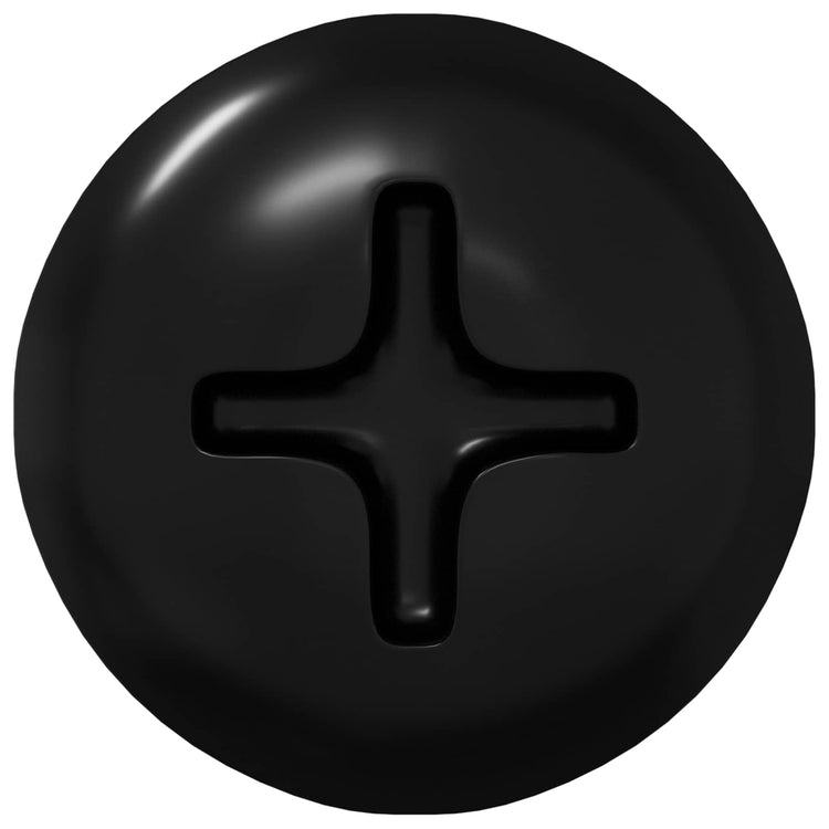 Vidaxl clou autotaraudeur 2 pcs noir 4 x 25 mm acier