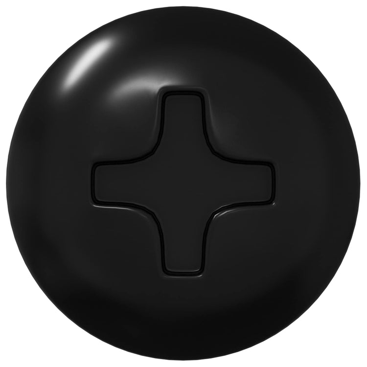 VidaXL clou de robinet 2 pcs noir m4 x 28 mm acier