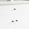 Vidaxxl bouton d'armoire 12 pcs noir 18 x 23 mm fer