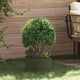 Vidaxxl anneau végétal vert olive 30 x 30 x 20 cm acier laminé à froid