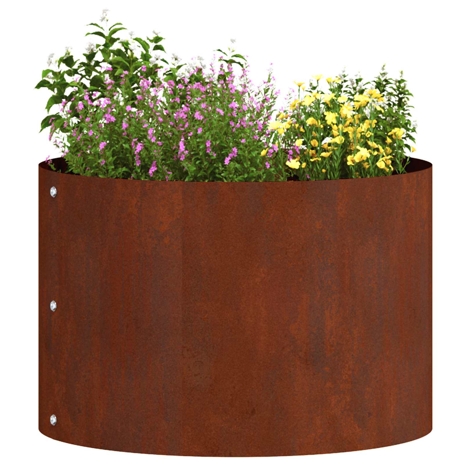 Vidaxl anneau pour plantes 5 pcs marron 30 x 30 x 20 cm acier corten