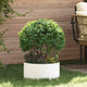 VidaXL anneau pour plantes 5 pcs blanc 40 x 40 x 20 cm acier laminé à froid
