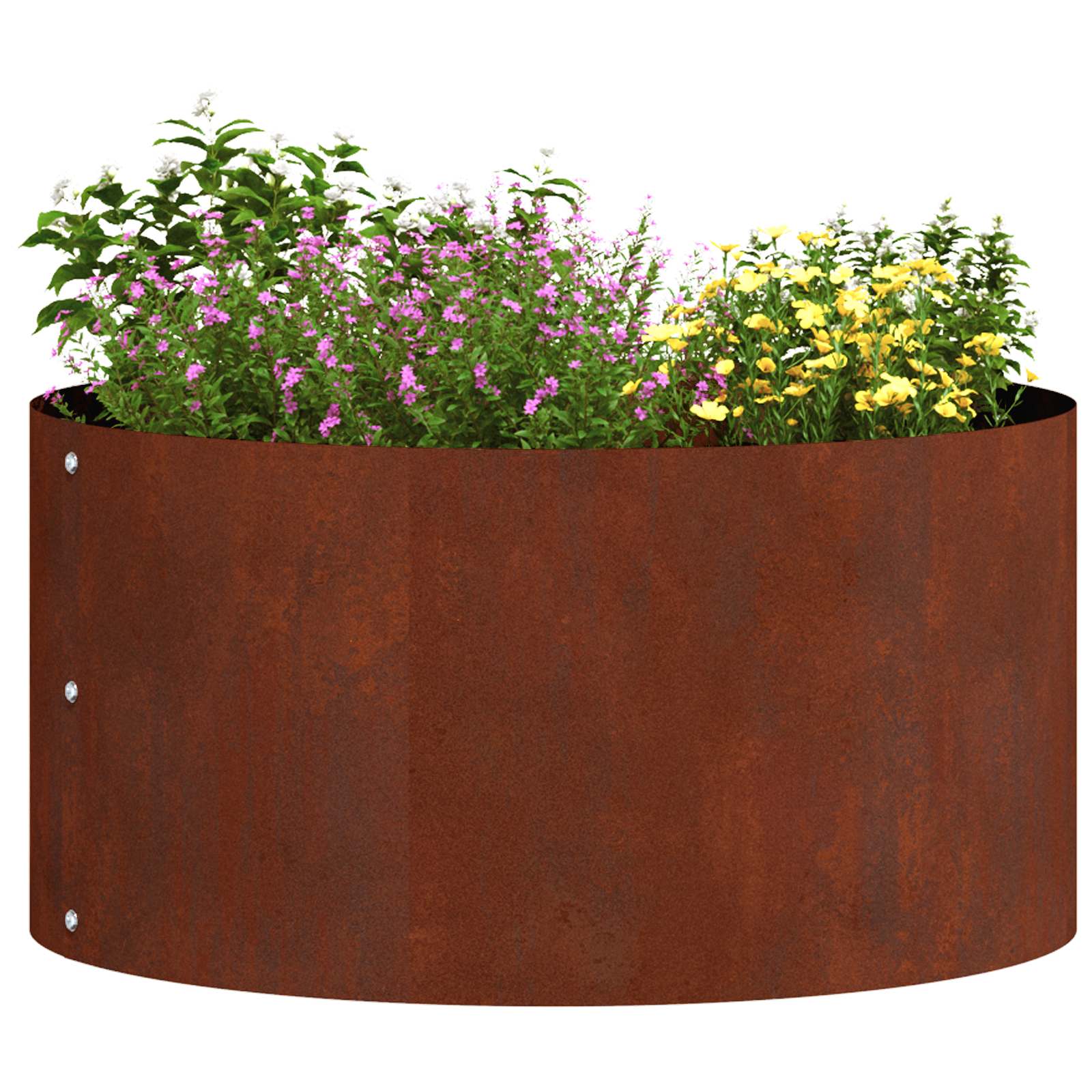 Vidaxl anneau pour plantes 5 pcs marron 40 x 40 x 20 cm acier corten