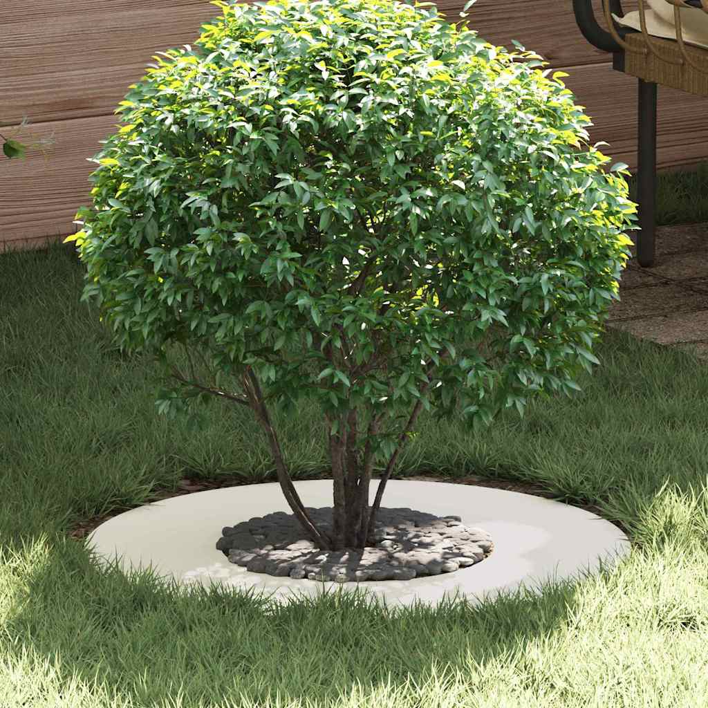 VidaXL adapté aux cernes d'arbre plats 5 pcs blanc ø30 60 cm acier
