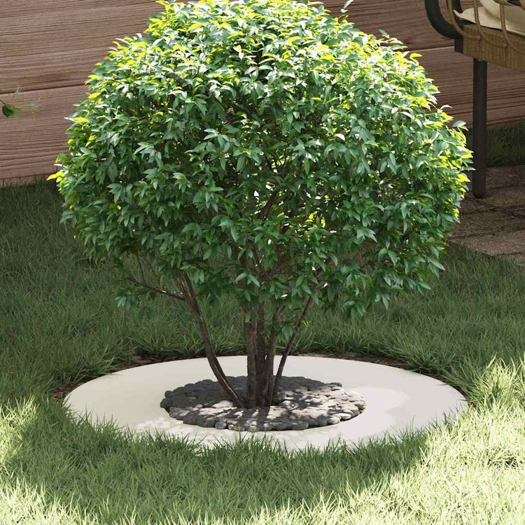 VidaXL adapté aux cernes d'arbre plats 5 pcs blanc ø30 60 cm acier