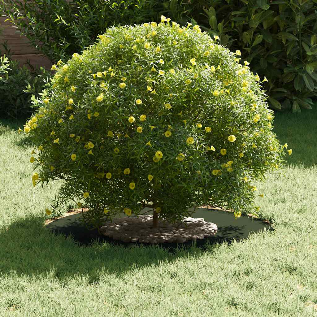 VidaXL adapté aux cernes d'arbre plats 5 pcs vert olive ø30 60 cm
