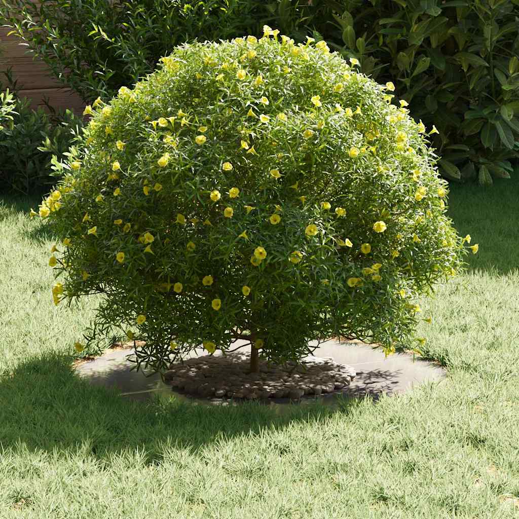 VidaXL adapté pour anneau d'arbre plat argent ø30 60 cm acier inoxydable