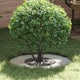VidaXL convient pour anneau d'arbre plat argent ø30 60 cm