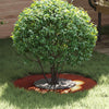 VidaXL adapté pour cerne d'arbre plat marron ø30 60 cm acier corten