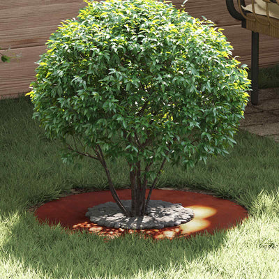 VidaXL adapté pour cerne d'arbre plat marron ø30 60 cm acier corten
