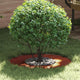 VidaXL adapté pour cerne d'arbre plat marron ø30 60 cm acier corten